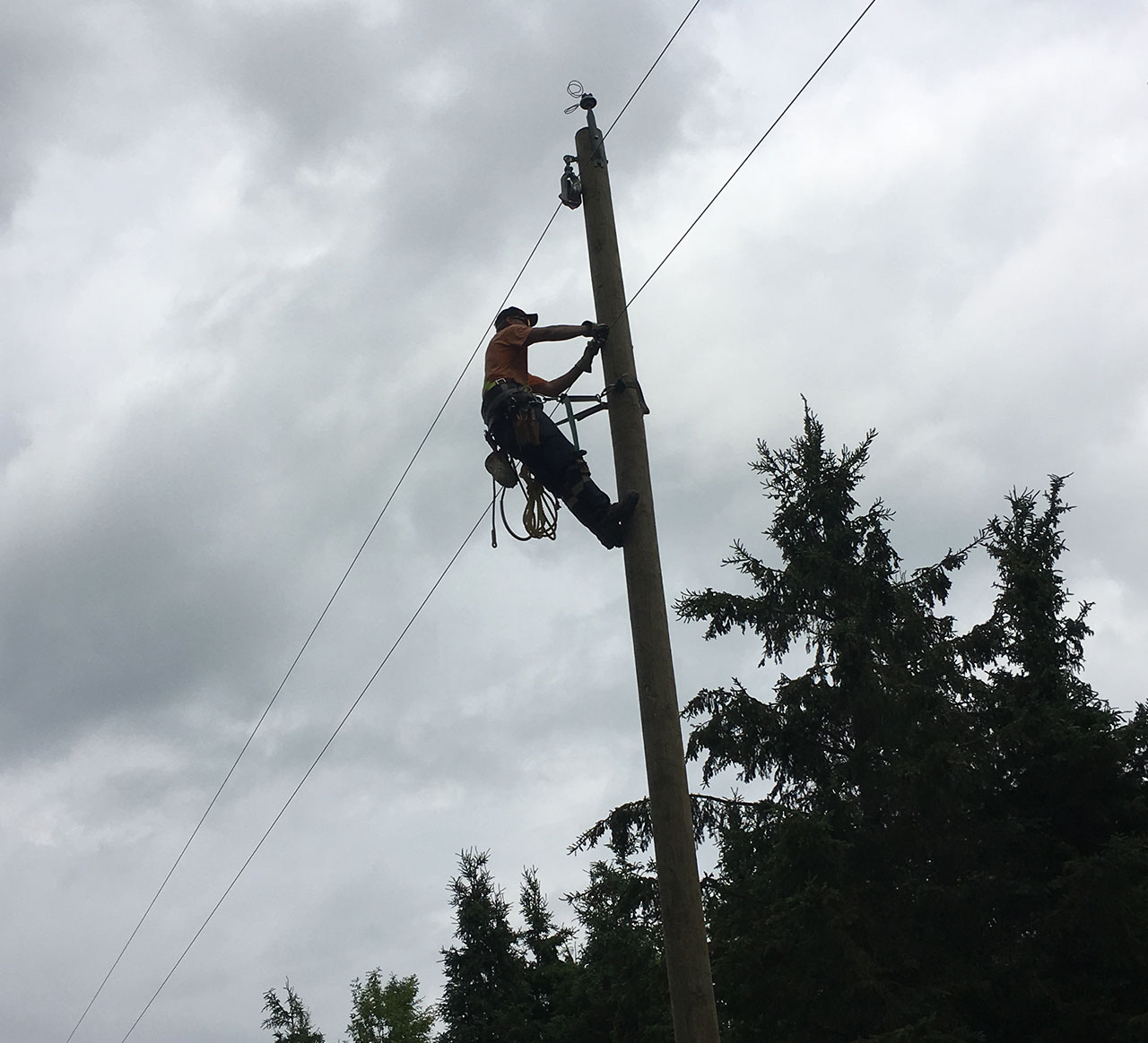 UPL Electrical team member fixing wiring on a pole line